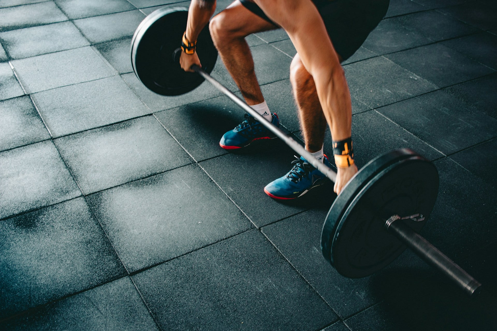 Fitness & Movement